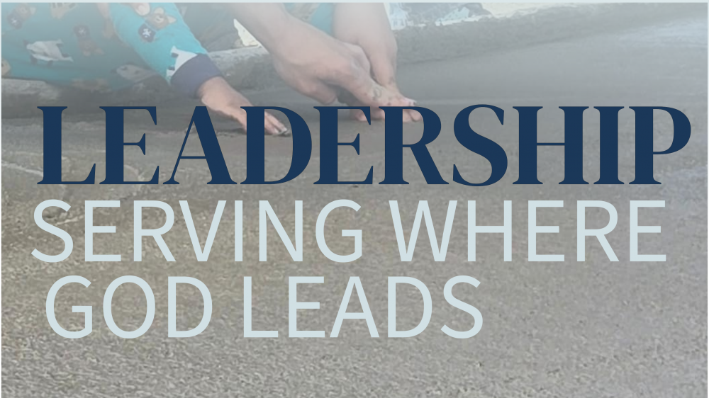 Leadership